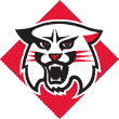 Davidson Logo