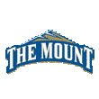 Mount St. Mary's Logo