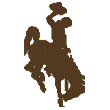 Wyoming Logo